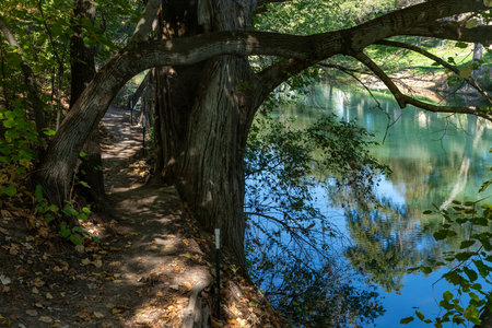 Trail around Guadalupe river, Canyon lake, Texas, USAの写真素材