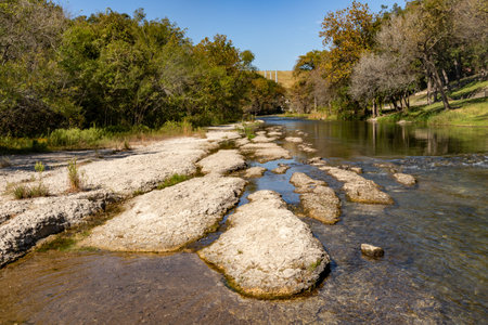 Rocks and vegetation at Guadalupe river, Canyon lake, Texas, USA