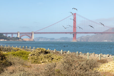 Golden Gate from Presidio beach, San Francisco, California, USA