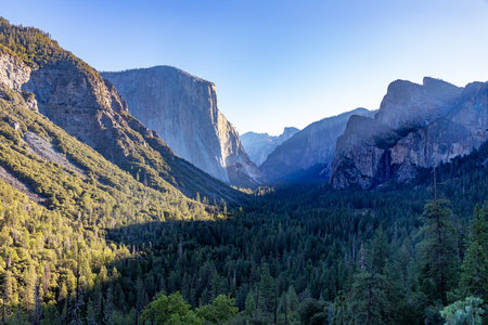 Early sun rays in a park, California, USAの写真素材