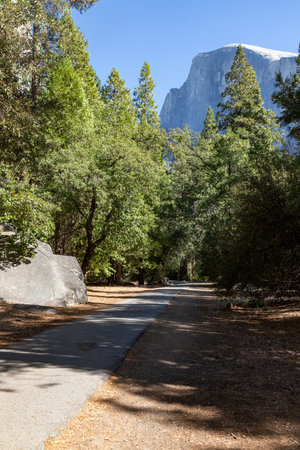 Trail in Rocky mountains trees, California, USAの写真素材