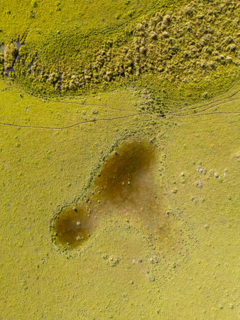 Lake in a farm field, Cambara do Sul, Rio Grande do Sul, Brazilの写真素材