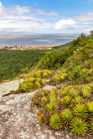 Vegetation, rocks and lake in Itapua State park, Viamao, Rio Grande do Sul, Brazilの写真素材