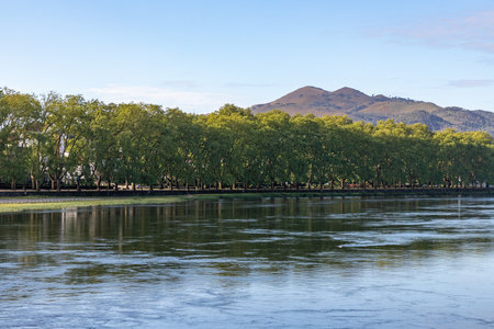 Platanos avenue with trees, Ponte de Lima, Portugalの写真素材