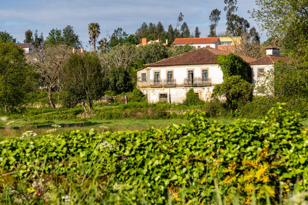 Portuguese farm house with fields, Ponte de Lima, Viana do Castelo, Portugalの写真素材
