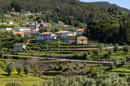 Village and Grapevines, Labruja, Viana do Castelo, Portugal