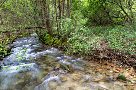 River in Compostela trail with forest around, Mos, Spainの写真素材