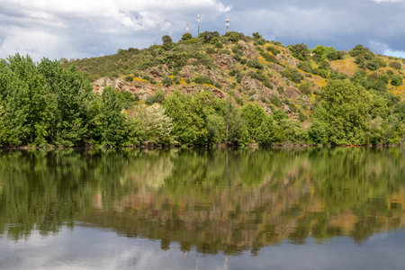 Nature park around Tua river, Mirandela, Portugalの写真素材