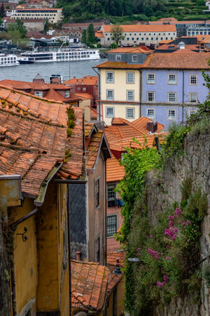 Village Buildings with Douro river in background, Porto, Portugalの写真素材