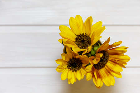Beautiful sunflowers on a white wooden table. Top view of yellow flowers. Great for presentations, decor and web design.の写真素材