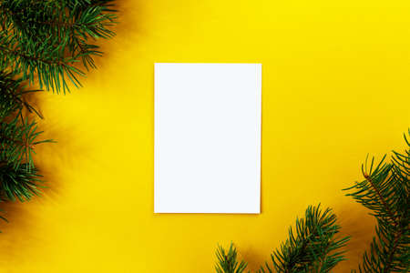 Spruce twigs on an isolated backdrop. Minimalist new year concept. Copy space. Top view. New Year...