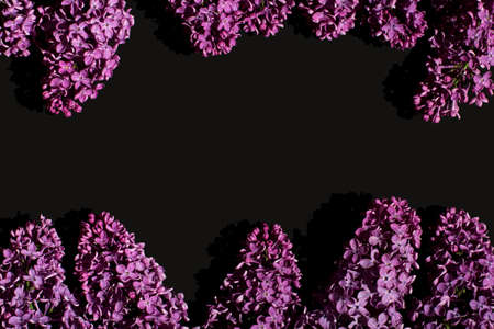 Contrast black background with purple lilac. Floral backdrop. Top view. Perfect for presentations, web design.の写真素材