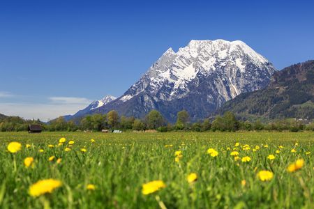 Grimming with grassland