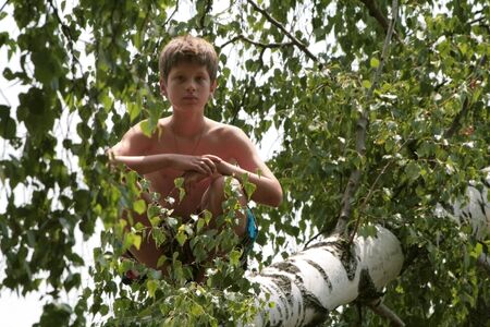 A boy sits on a fallen birch in the leaves. Russianの写真素材