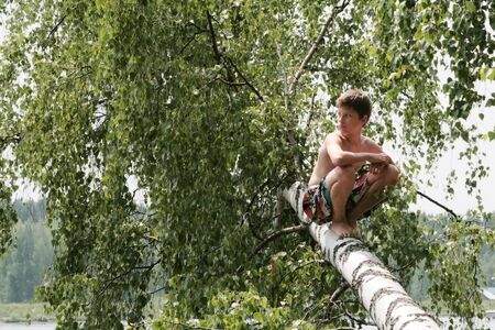 A boy sits on a fallen birch in the leaves. Russianの写真素材