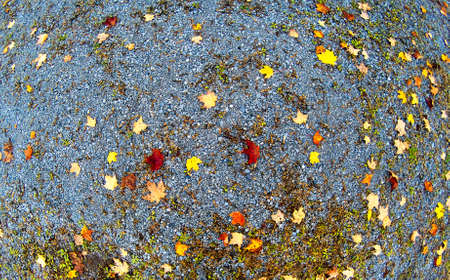 This photo was taken from above. It represents autumn with these beautiful colors. Beautiful wallpaper. Ulverton, Quebec, Canada; October 10, 2019.のeditorial素材