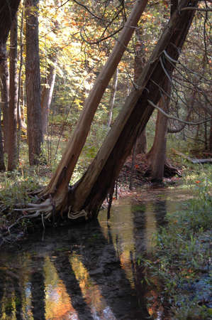 Outreachの写真素材