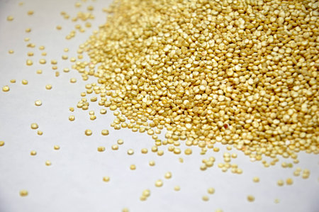 heap of quinoa grains on a white backgroundの写真素材