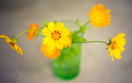 Bouquet of orange Gerber flowers in glass vase over gray backgroundの写真素材