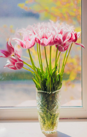 Bouquet of pink  Tulips flowers in glass vase over windowの写真素材