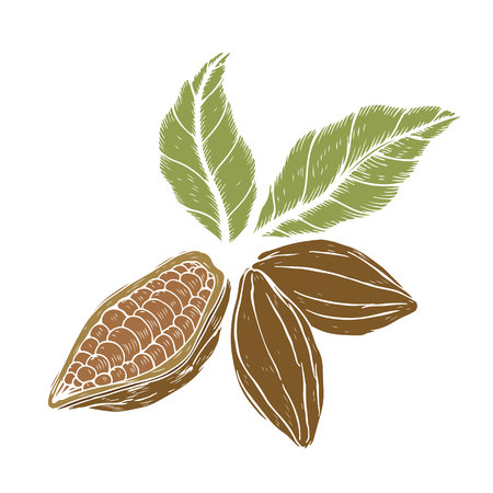 logo with kko in retro style, element for design, vector illustration, sketch with kakoのイラスト素材