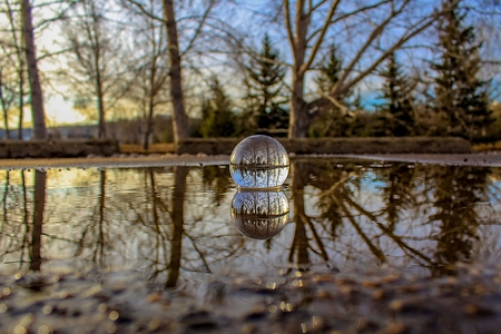 Lensball Puddle Reflections