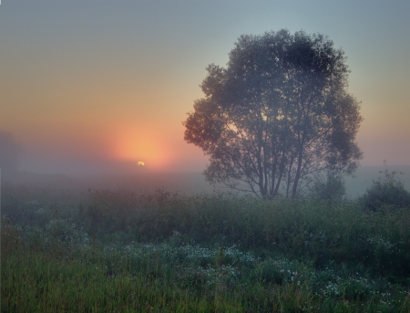 Sunrise in field. Silence and tranquil rural landscapeの写真素材