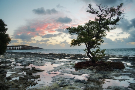 Low tide at the Florida Keys Islands  View to the Old Bahia Honda Railroad bridge  USA の写真素材