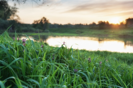 Sunset over river in a Russia. Photo with small depth of field, and focus on a grassの写真素材