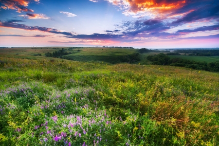 Natural colours summer sunrise over fields and hills in Russiaの写真素材