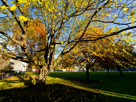 Autumn at the Trinity college, Dublin, Ireland.の写真素材