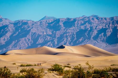 Mesquite flat sand dunes at sunrise. Death Valley NP, California.の写真素材