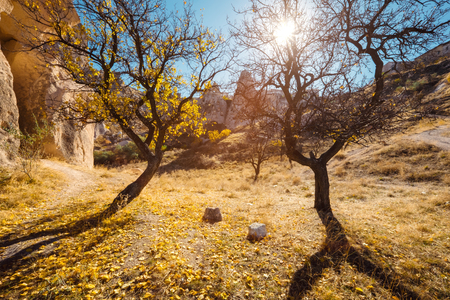 Cave dwelling and columbariums at the valley of Uchisar town. Cappadocia, Turkey.の写真素材