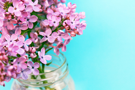 Beautiful purple lilacの写真素材