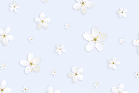 Background with isolated flowersの写真素材