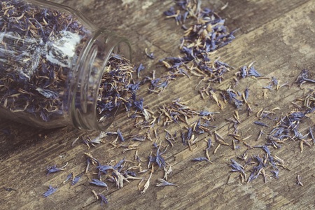 Cornflower teaの写真素材