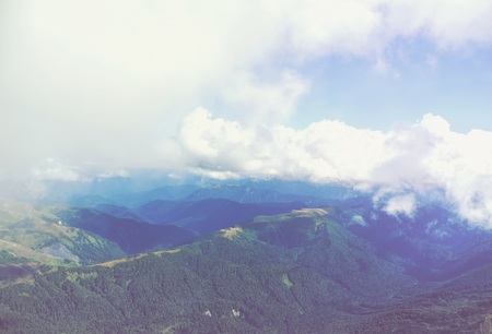 Rocky mountain with forest