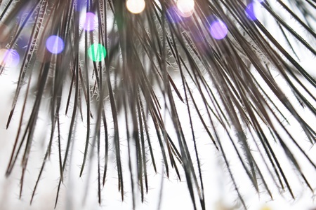 Christmas New Year background, branches of a Christmas tree with a bokeh