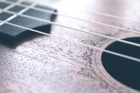 Ukulele guitar stringsの写真素材