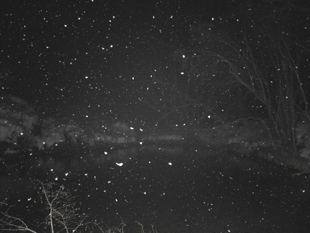 Snow fallen at nightの写真素材