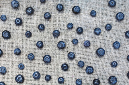 Blueberry isolated background