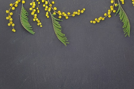 Flowers on black paperの写真素材