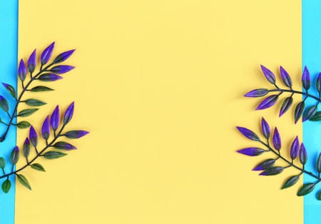 Flowers isolated on yellow background, close up