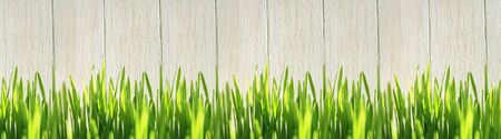 Green grass near a wooden fenceの写真素材