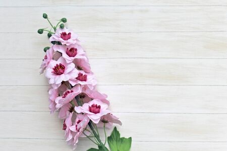 Beautiful flowers isolated on white backgroundの写真素材