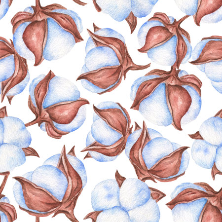 Cotton flowers Watercolor seamless pattern. Botanical Watercolor floral illustrations. Wrapping paper for gift, prints on fabric, design for paper, For wedding invitations.の写真素材