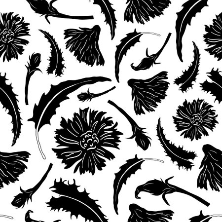 Floral black and white seamless pattern. Background of chicory flowers and leaves. A design element for fabric, packaging, and clothing. Vector format eps 10のイラスト素材