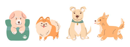 Set of cute colorful dogs vector clipart with pets. Different breeds, different animal poses. A set for sticker packs, veterinary clinic advertisements, pet store websites, and prints.のイラスト素材
