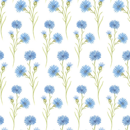 Seamless watercolor pattern with blue cornflower flowers on a white background. Vintage-style botanical pattern, floral wallpaper, fabric pattern, wrapping paper, natural-style interior decoration.の写真素材