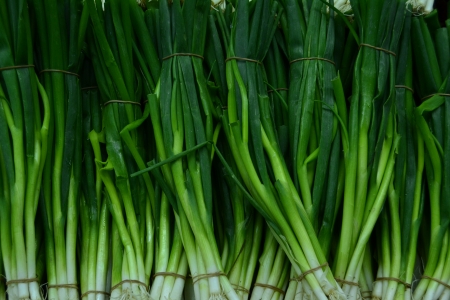  Spring onion is bundled bonded